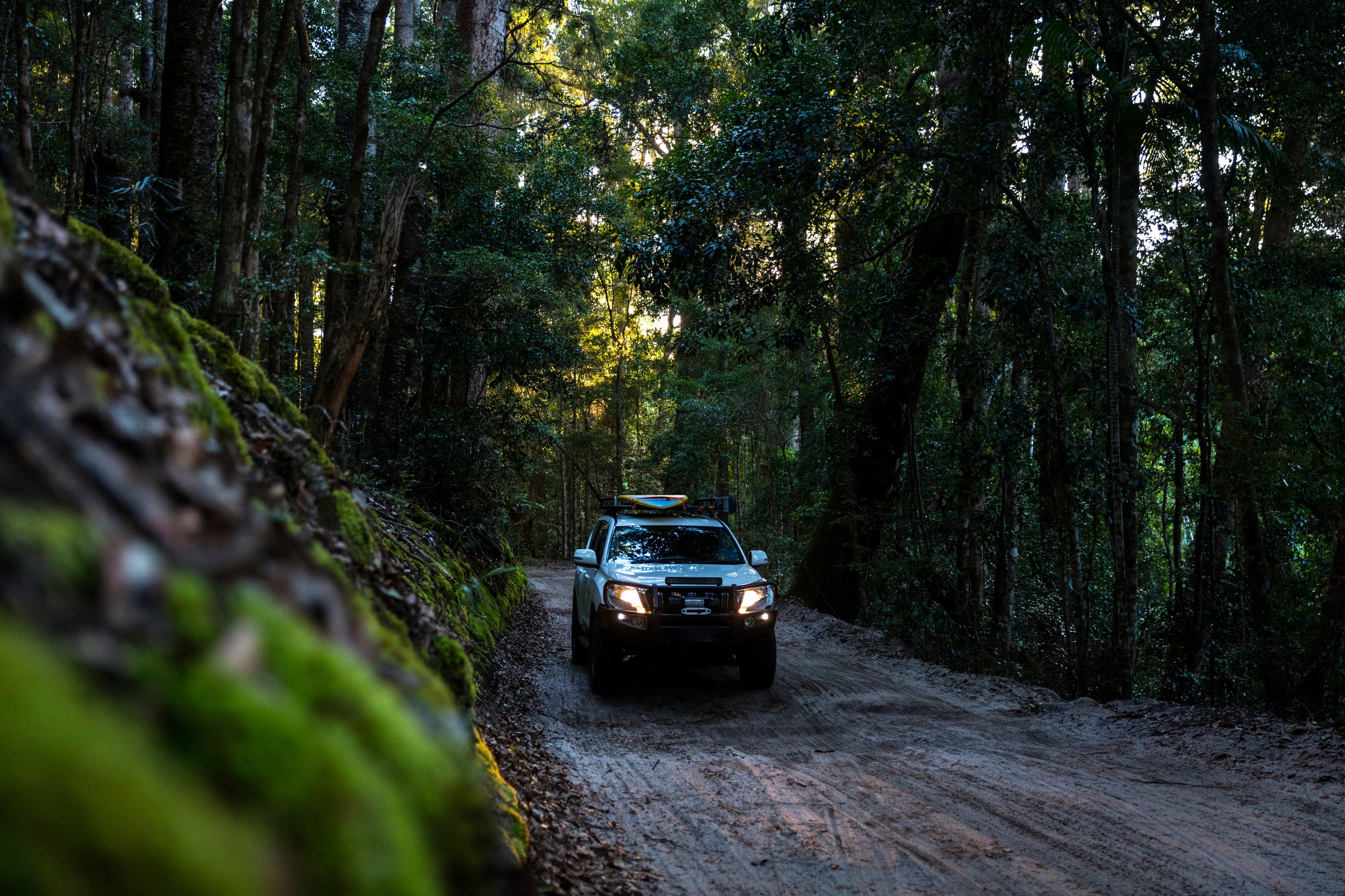 Off Road Vehicle in Rainforest